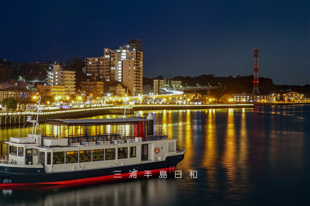 横須賀ウインターイルミネーション・コースカ ベイサイド ストアーズ前のデッキより望む(撮影日:2024.02.29)