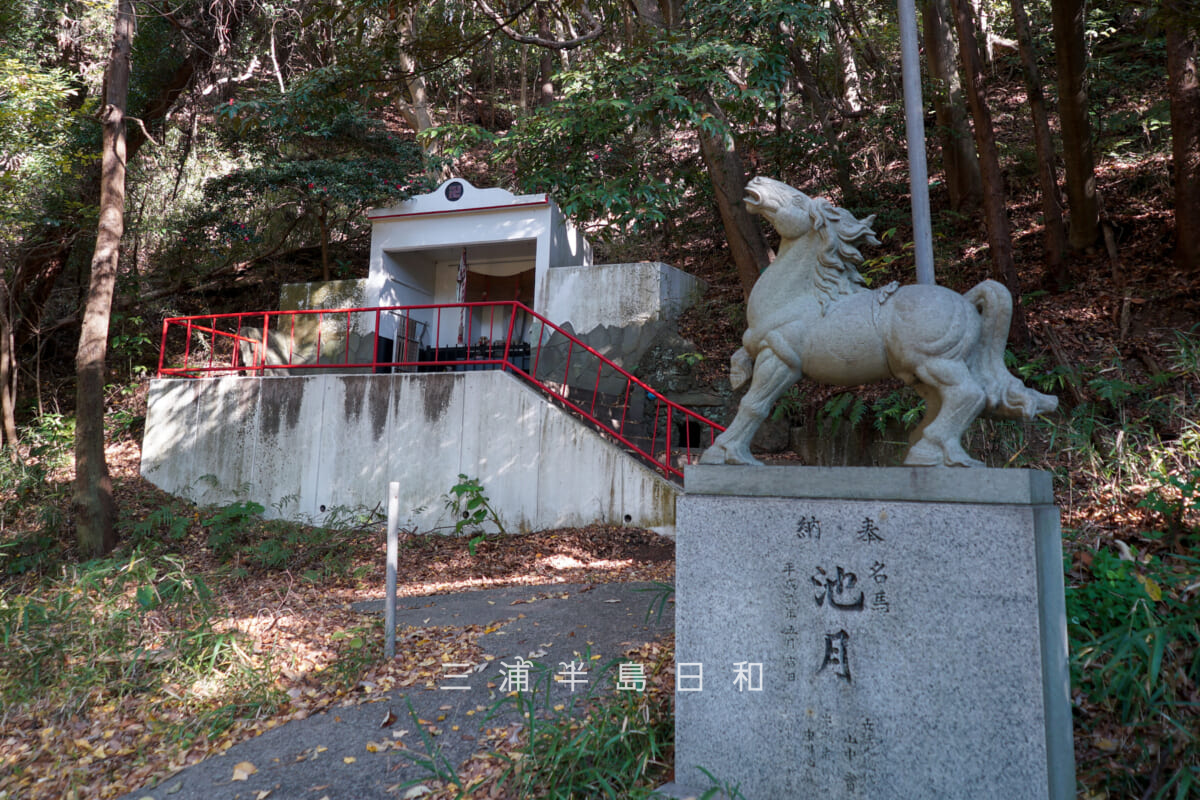 浄林寺-馬頭観音堂・名馬「池月」の像とお堂（撮影日：2025.12.18）