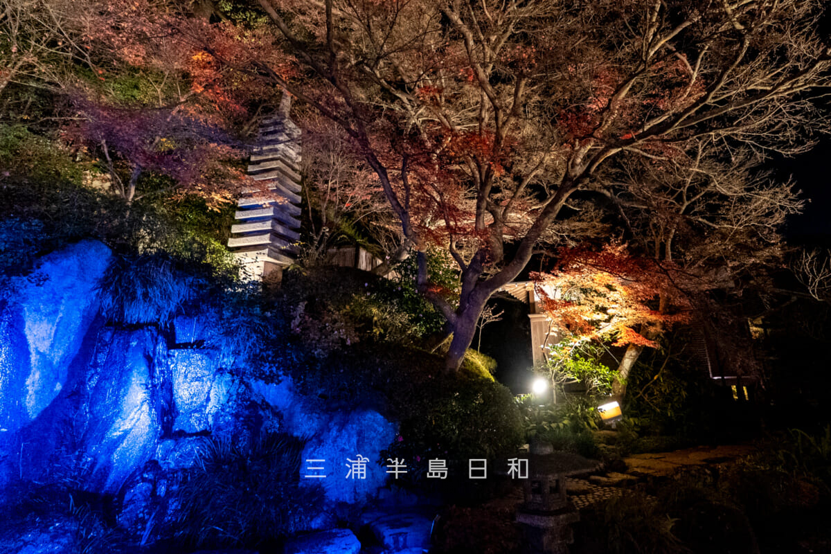 長谷寺・ライトアップされた放生池の紅葉（撮影日：2025.12.18）