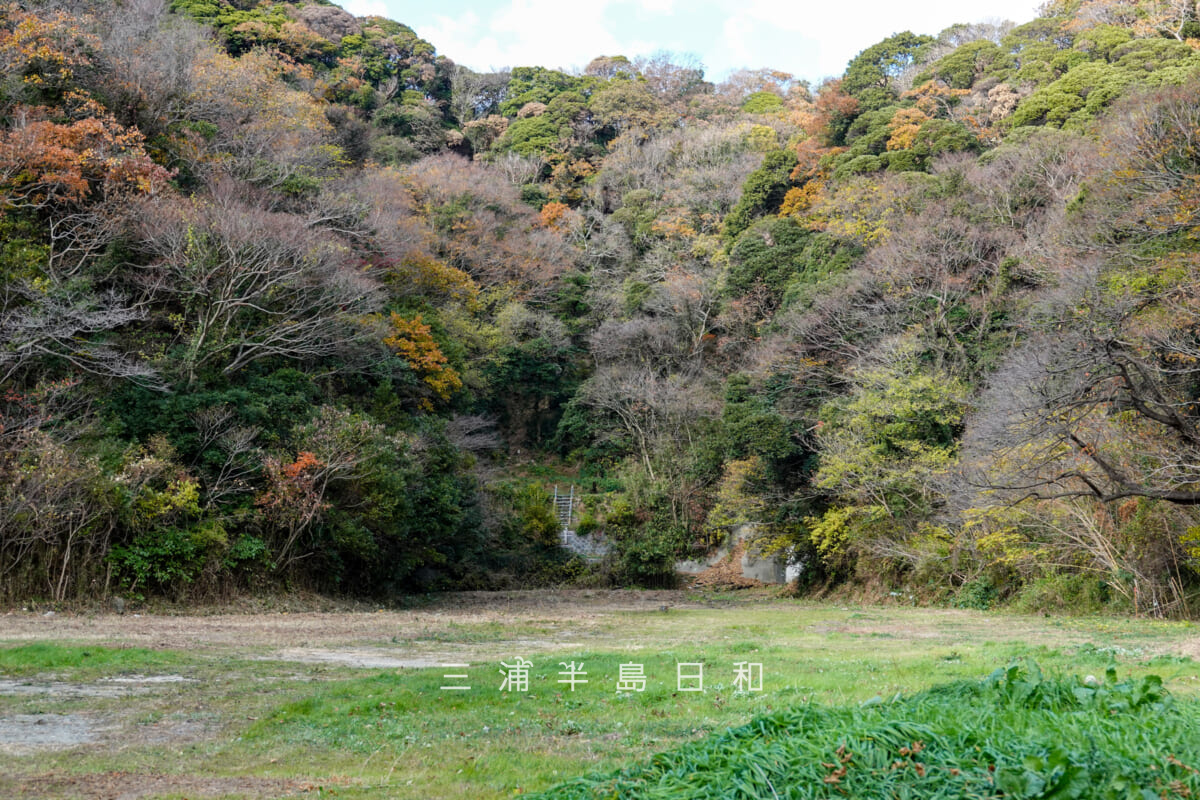 円通寺跡・深谷やぐら群（海上自衛隊大矢部弾庫跡）・やぐら群と寺院跡推定地の遠景（撮影日：2025.12.12）