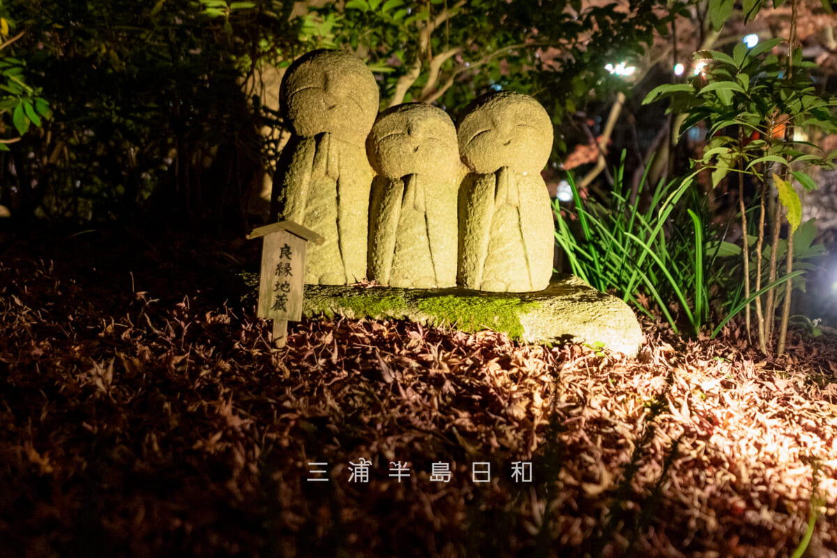 長谷寺・ライトアップされた晩秋の良縁地蔵（参道沿い）（撮影日：2025.12.18）