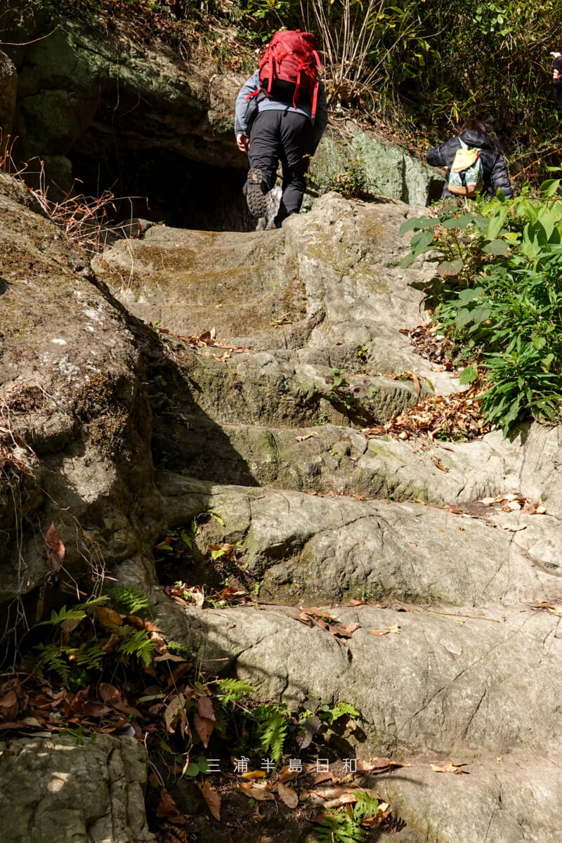 令和7年度はじめての三浦一族講座フィールドワーク「大矢部弾庫跡『円通寺跡』の特別見学」・東側のやぐら群に続く石段（撮影日：2025.12.12）