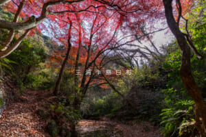 紅葉ヶ淵（吉沢川渓流）（撮影日：2025.12.10）