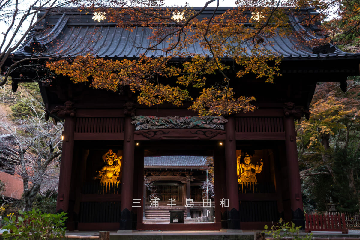 妙本寺・晩秋の夕暮れの二天門(撮影日:2025.12.12)