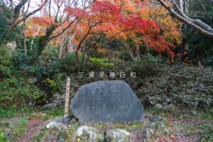 蘆花記念公園・徳冨蘆花文学記念碑と紅葉（撮影日：2025.12.18）