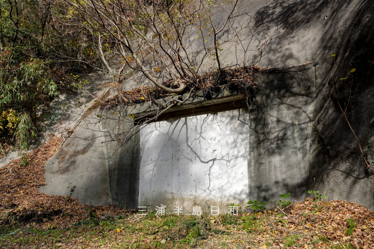 円通寺跡・深谷やぐら群（海上自衛隊大矢部弾庫跡）・コンクリートで閉ざされた隧道弾庫跡（東側の一つ）（撮影日：2025.12.12）