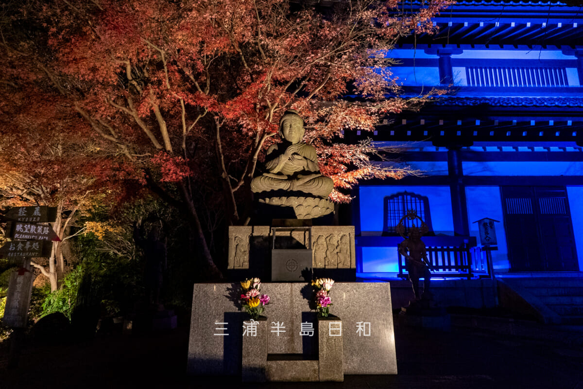 長谷寺「御足参り」・観音ミュージアム前の仏像と紅葉（撮影日：2025.12.18）