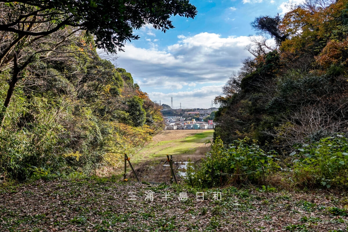 円通寺跡・深谷やぐら群（海上自衛隊大矢部弾庫跡）・寺院推定地前の平場より谷戸前方を望む（撮影日：2025.12.12）