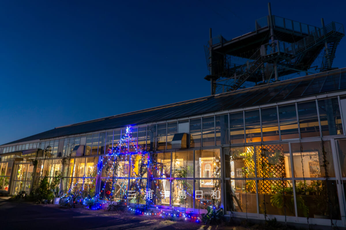 長井海の手公園 ソレイユの丘「きらめく丘のぬくもりクリスマス」2025クリスマスイルミネーション・長井ベースのイルミネーション(撮影日:2025.12.07)