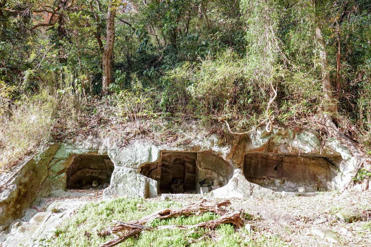円通寺跡・深谷やぐら群（海上自衛隊大矢部弾庫跡）・東側（正面右側）のやぐら群[アップ]（撮影日：2025.12.12）