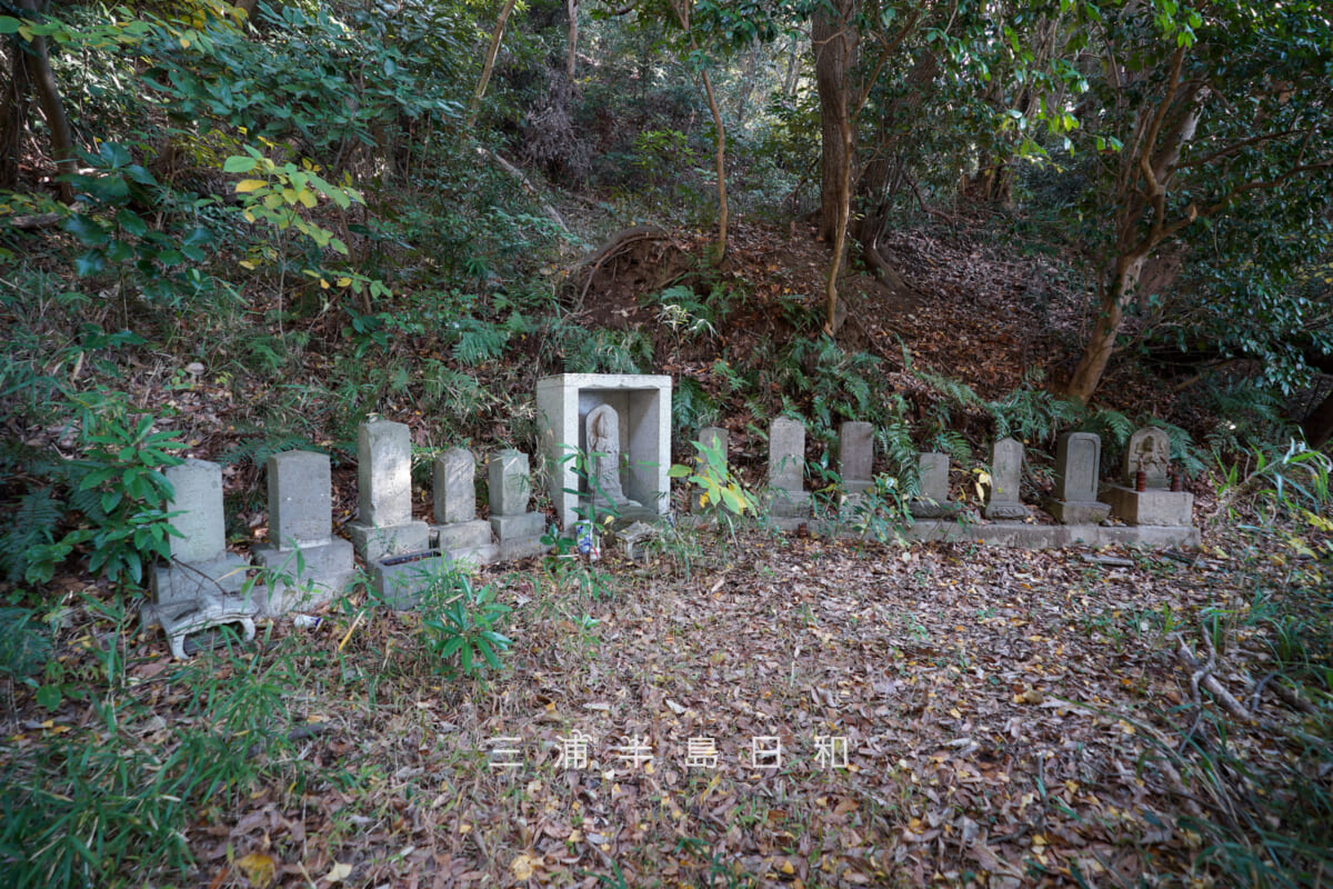 浄林寺-馬頭観音堂・馬頭観音の石仏や石碑（撮影日：2025.12.18）