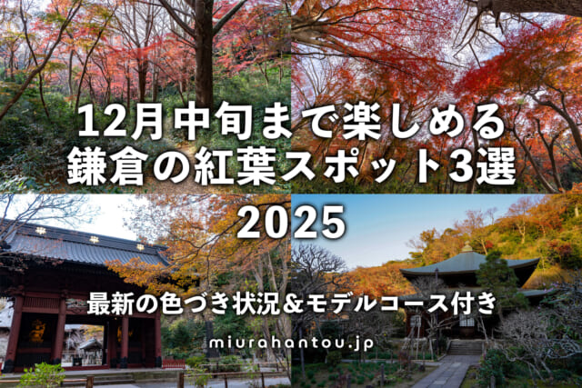 12月中旬まで楽しめる鎌倉の紅葉スポット2025