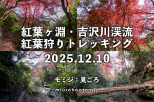 紅葉ヶ淵-吉沢川渓流トレッキング・紅葉色づき状況（撮影日：2025.12.10）
