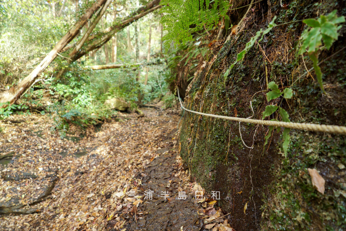 吉沢川渓流・ロープを頼りに進む崖地(撮影日:2025.12.10)