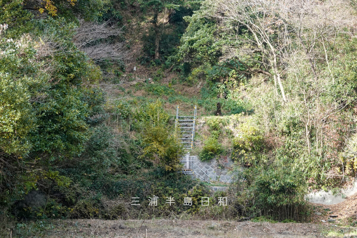 円通寺跡・深谷やぐら群（海上自衛隊大矢部弾庫跡）・やぐら群と寺院跡推定地へ昇る仮設の階段（撮影日：2025.12.12）