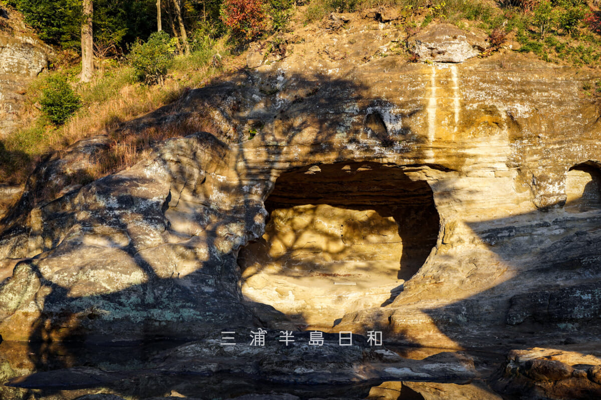瑞泉寺・西日を浴びてモミジの大木のシルエットが浮かび上がる名勝瑞泉寺庭園の天女洞(撮影日:2025.12.10)