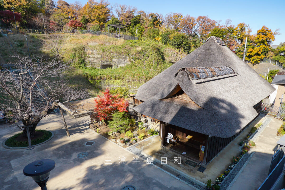 金沢八景権現山公園・旧円通寺客殿（旧木村家住宅主屋）・晩秋の園内（撮影日：2025.12.10）