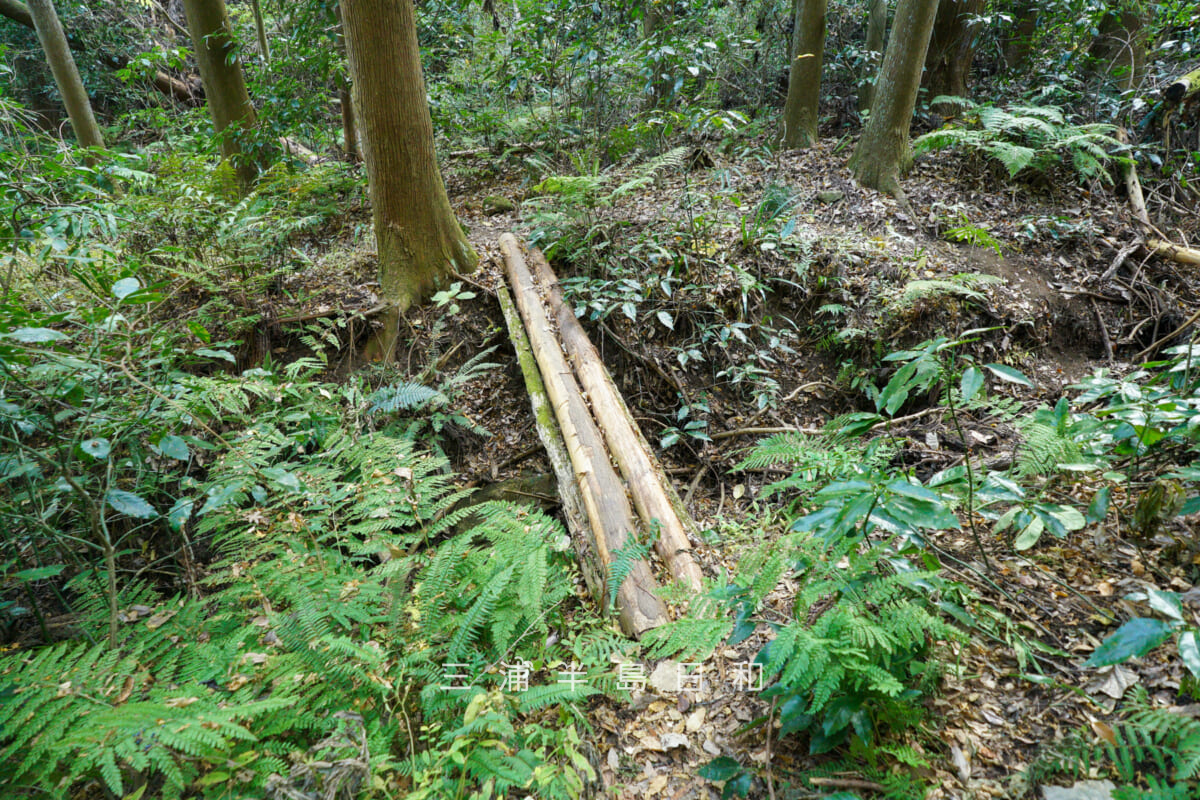 吉沢川渓流・上流に架かる丸太の橋(撮影日:2025.12.10)