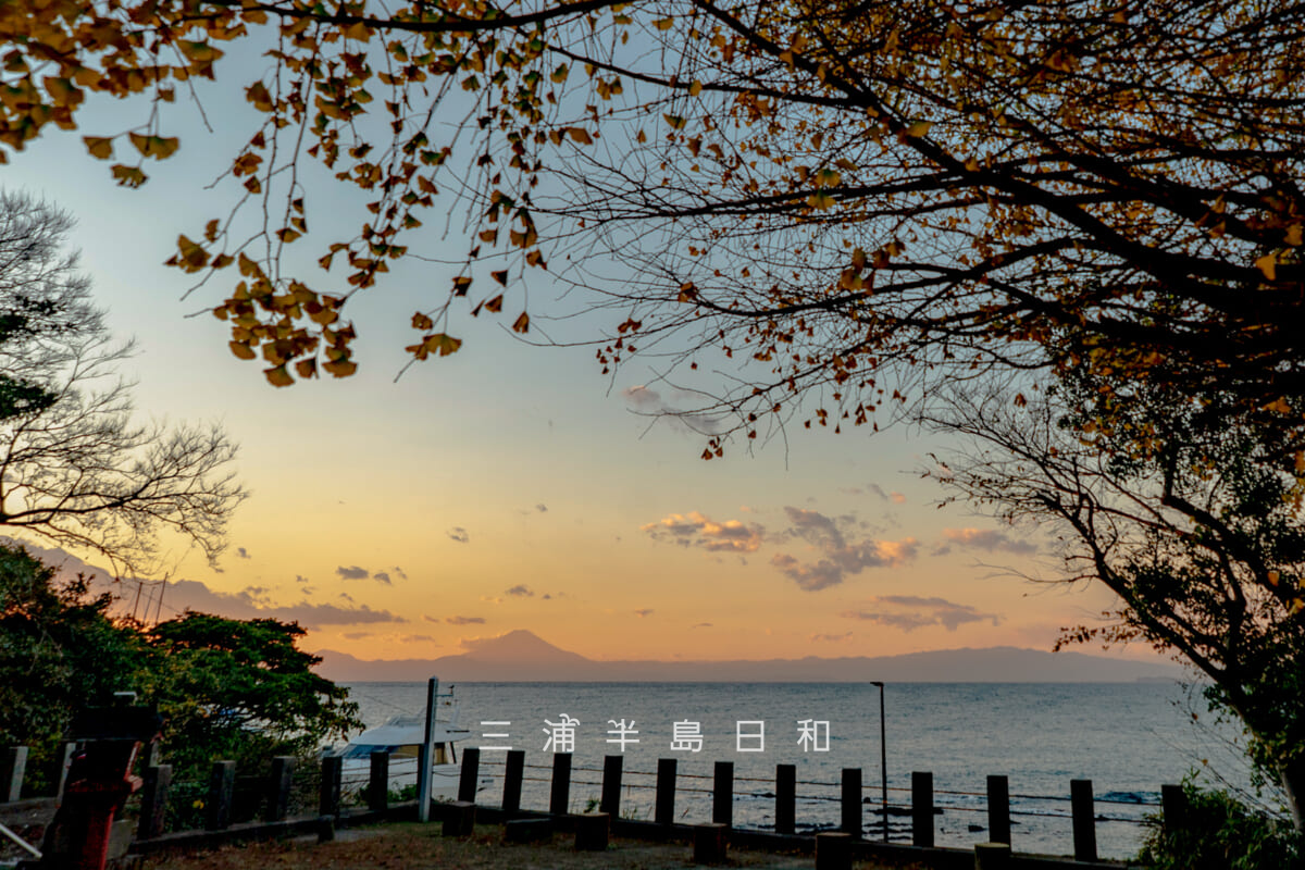 長井熊野神社・晩秋の境内から夕暮れの富士山を望む（撮影日：2025.12.05）