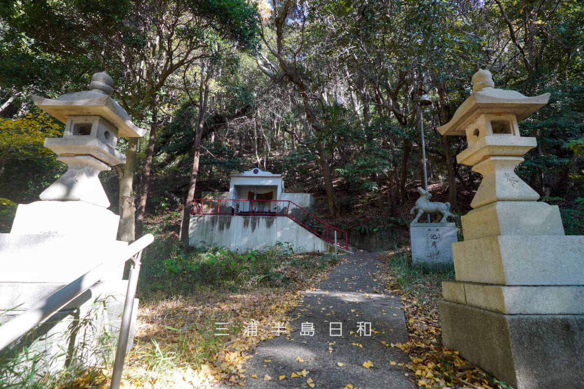 浄林寺-馬頭観音堂・境内（撮影日：2025.12.18）
