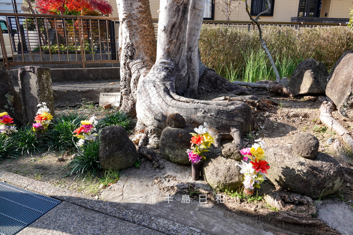 薬王寺旧跡・山門跡（撮影日：2025.12.12）