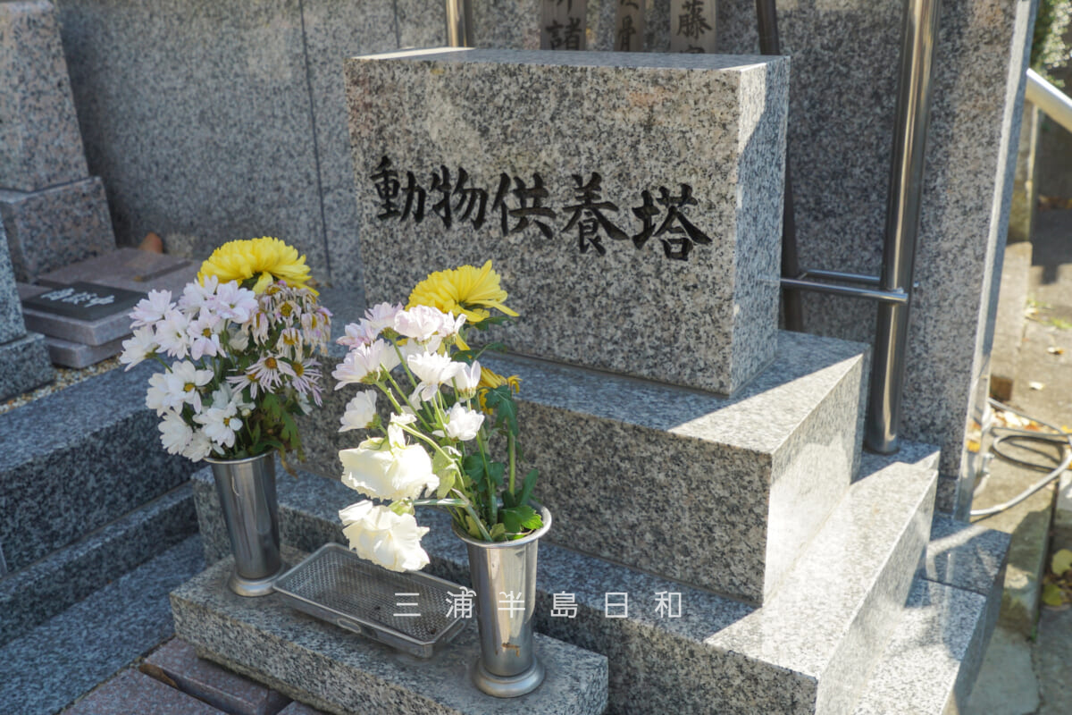 浄林寺・動物供養塔（撮影日：2025.12.18）