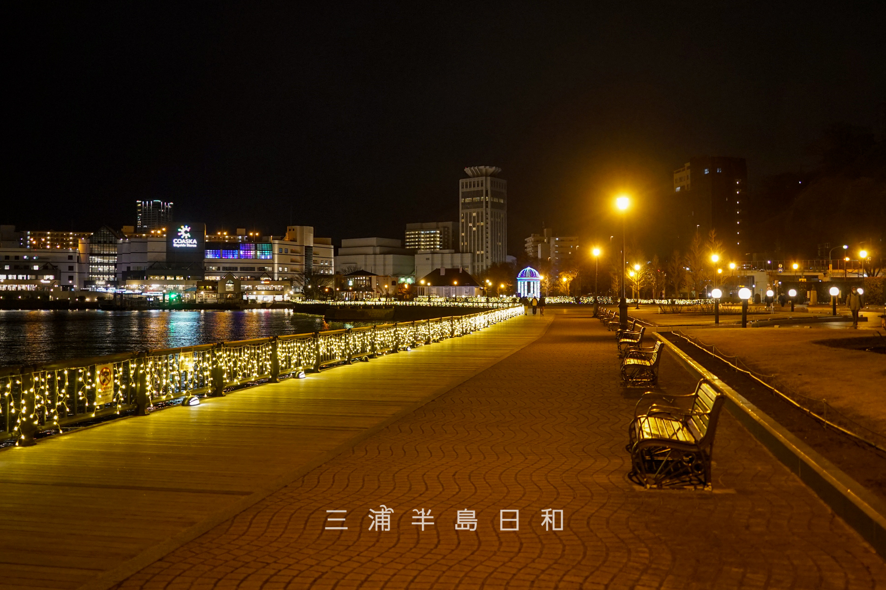 横須賀ウインターイルミネーション・ヴェルニー公園の横須賀駅側より望む（撮影日：2024.02.29）