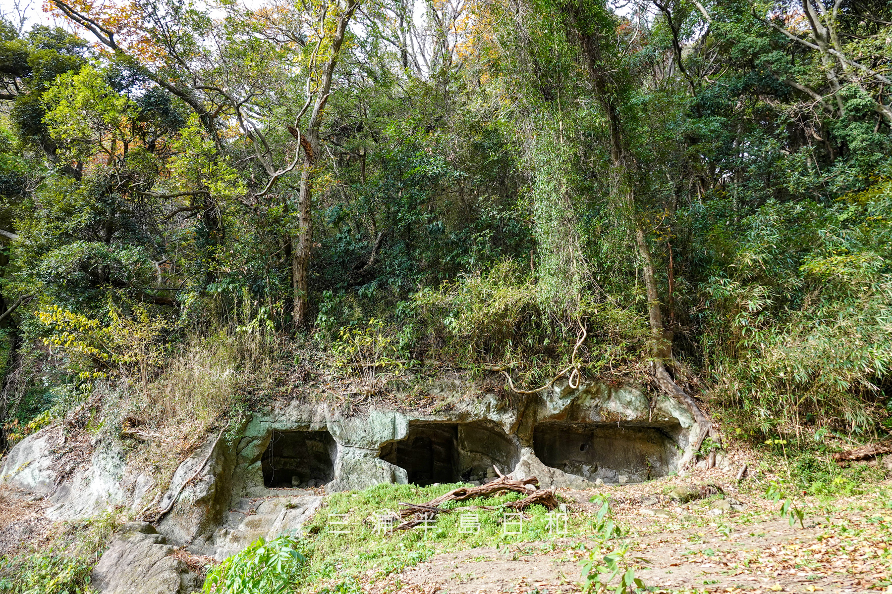 円通寺跡・深谷やぐら群（海上自衛隊大矢部弾庫跡）・東側（正面右側）のやぐら群[遠景]（撮影日：2025.12.12）