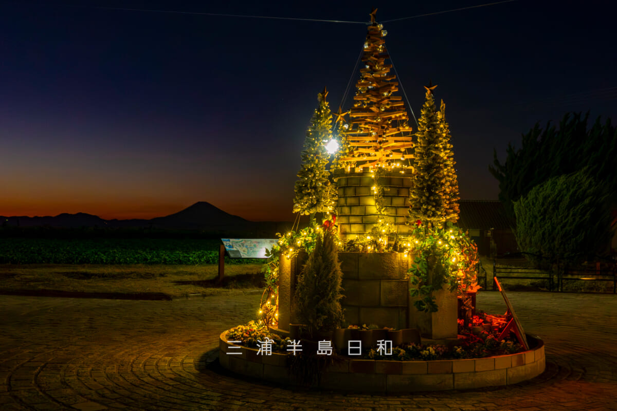 長井海の手公園 ソレイユの丘「きらめく丘のぬくもりクリスマス」2025クリスマスイルミネーション・クリスマスデコレーションと夕暮れの富士山(撮影日:2025.12.07)