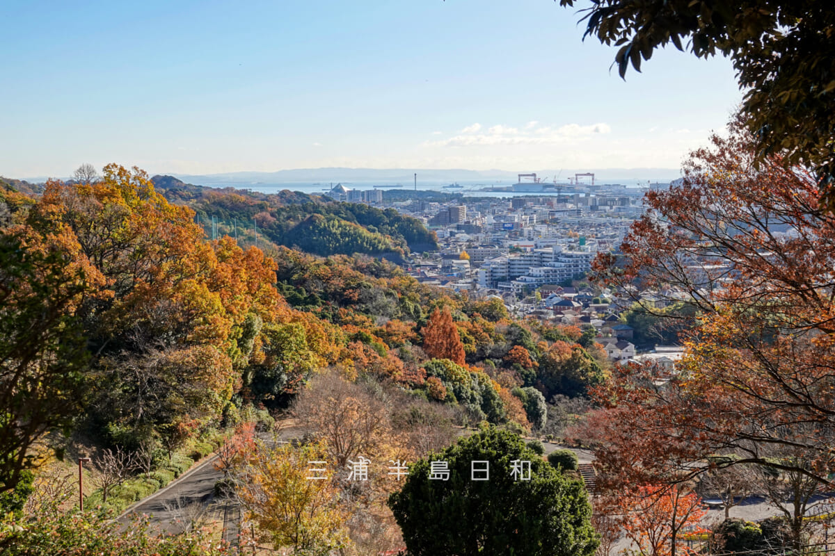 金沢自然公園・動物園入口前より晩秋の自然公園と釜利谷の街並みを望む(撮影日:2025.12.05)