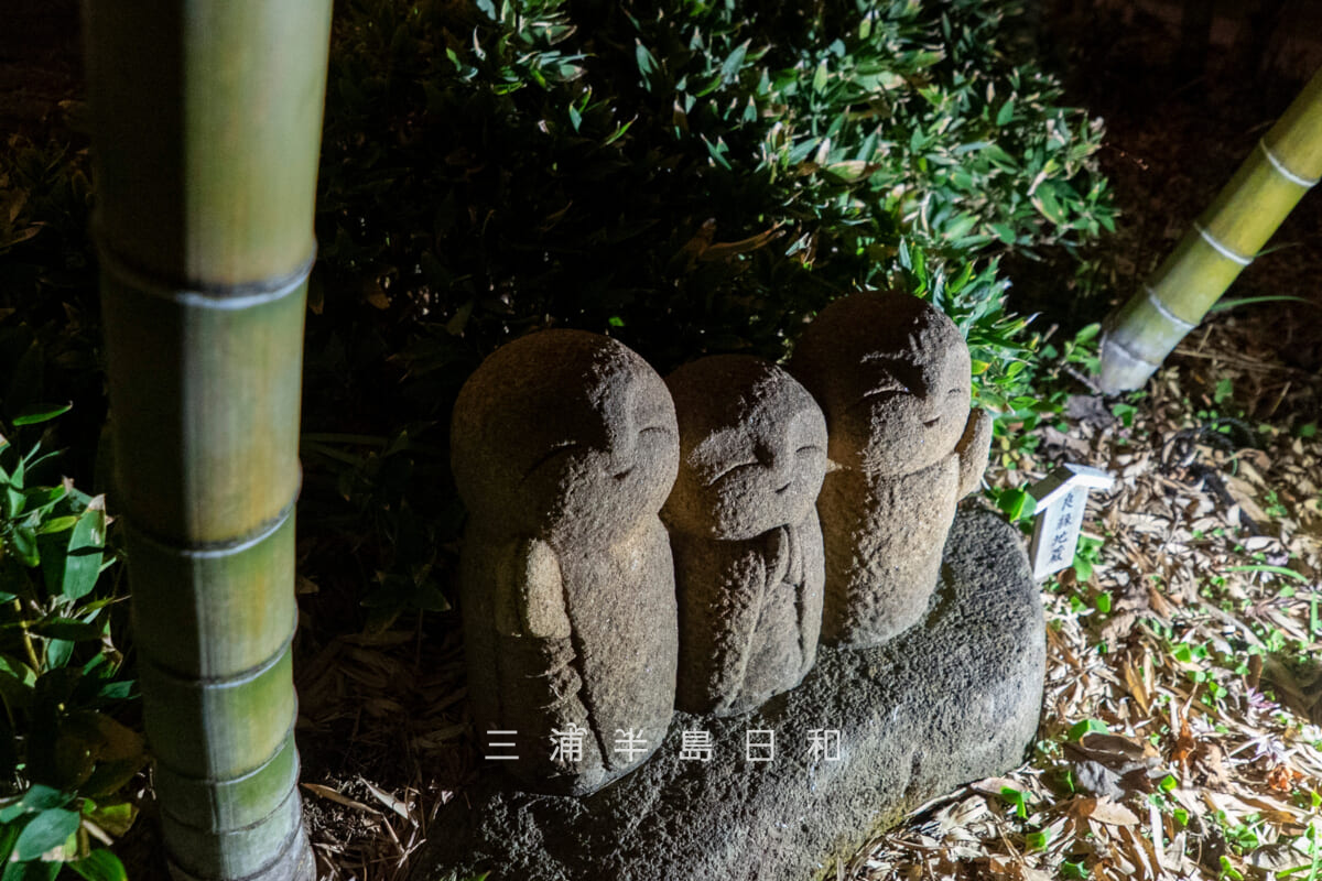 長谷寺・ライトアップされた良縁地蔵を見下ろす（竹林）（撮影日：2025.12.18）