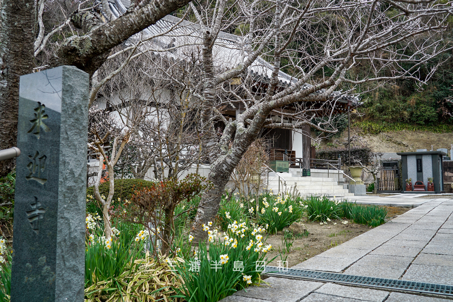 来迎寺（西御門）（撮影日：2024.02.02）