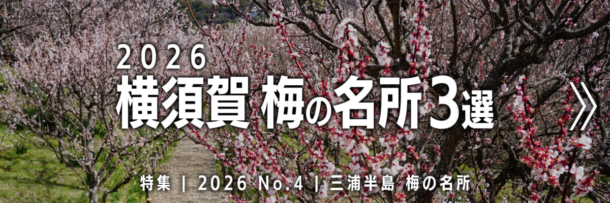【2026 No.4】特集 | 横須賀梅の名所