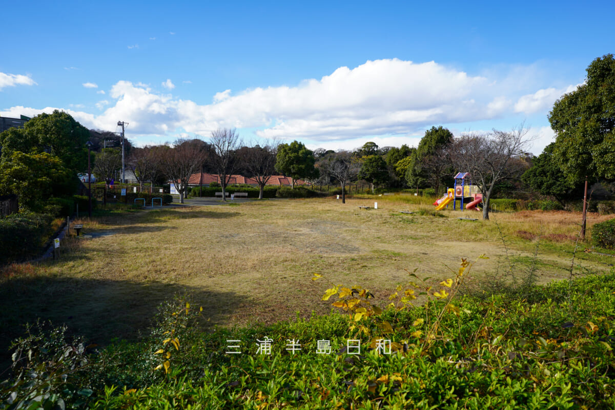 安針台公園・展望台から見た公園全景(撮影日:2025.12.26)