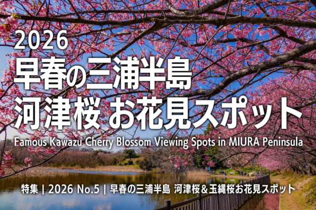【2026 No.5】特集 | 三浦半島河津桜おすすめスポット