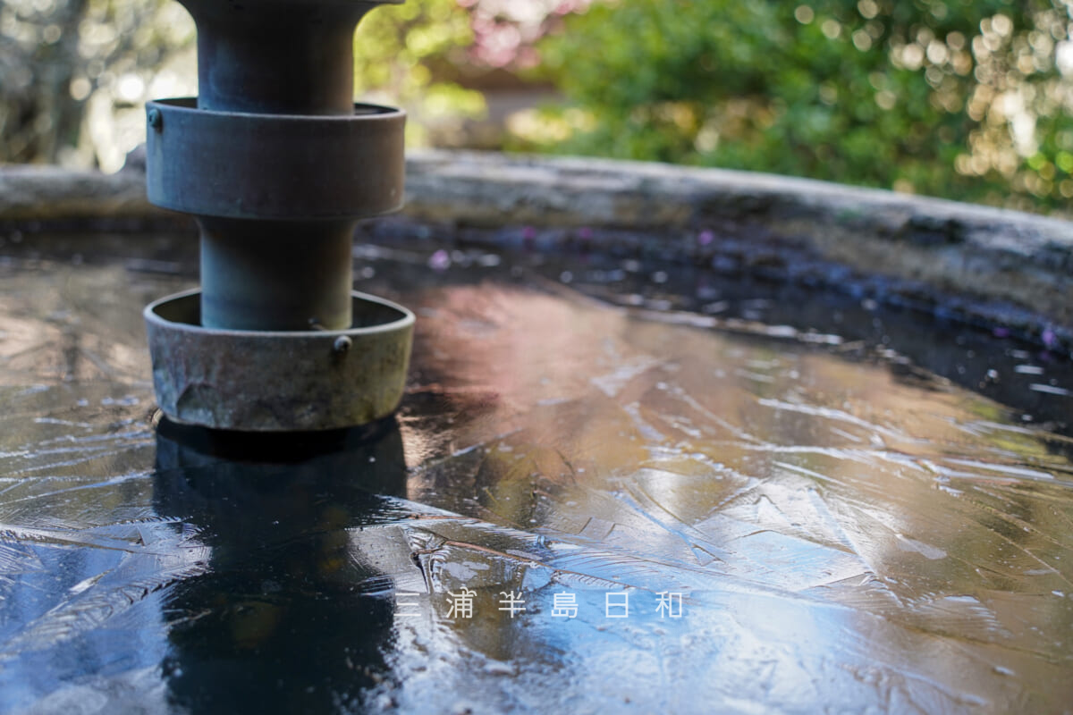 妙本寺・氷が張った祖師堂前の水鉢（撮影日：2026.01.22）