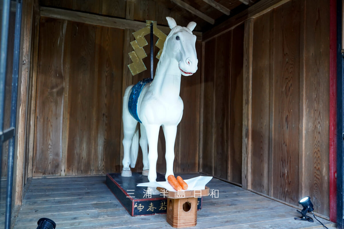 海南神社・神馬舎の木造の神馬（撮影日：2026.01.01）