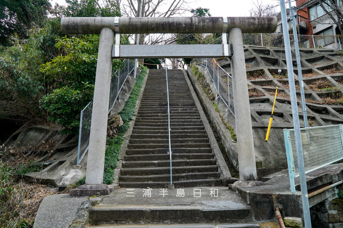 田ノ浦神明社(長浦神社)・鳥居(撮影日:2025.03.11)