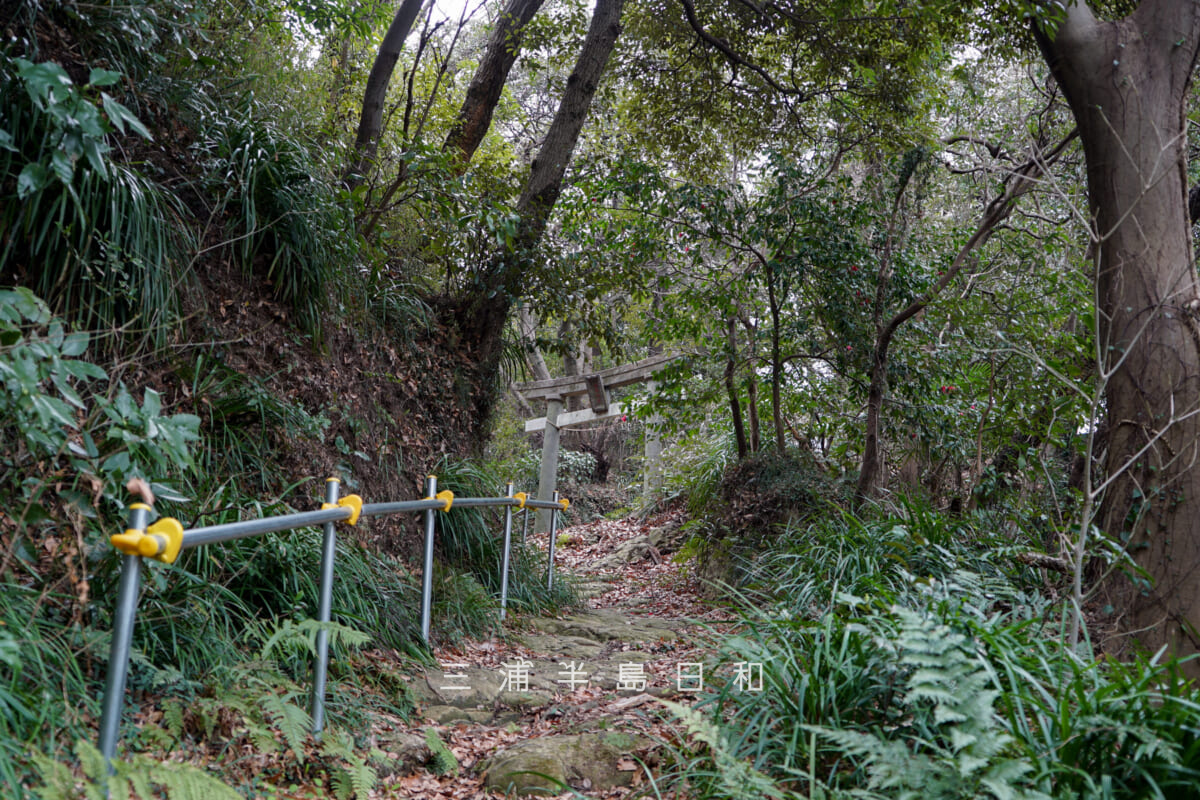 吾妻社（長浦町）・長浦神明社側の参道より鳥居方面を望む（撮影日：2025.03.11）