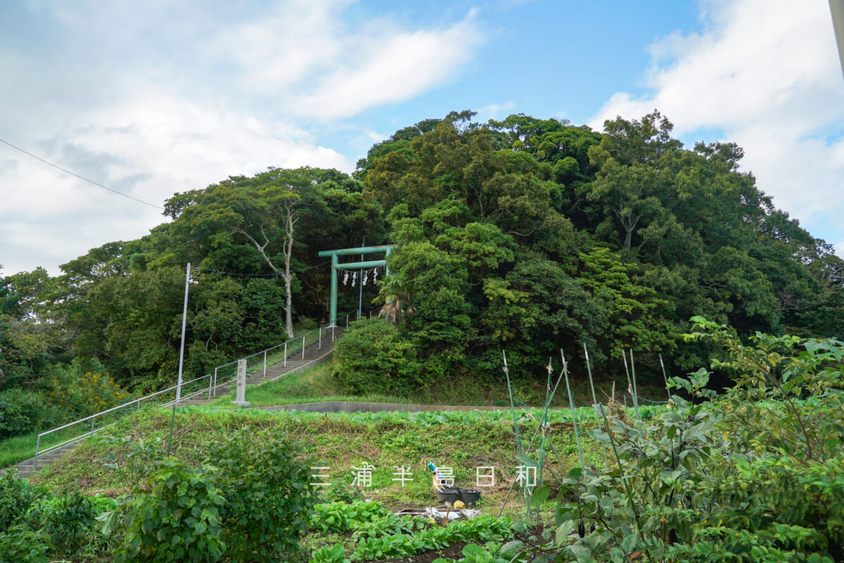天照大神（長沢）・お伊勢山（鎮守の杜）（撮影日：2025.10.23）