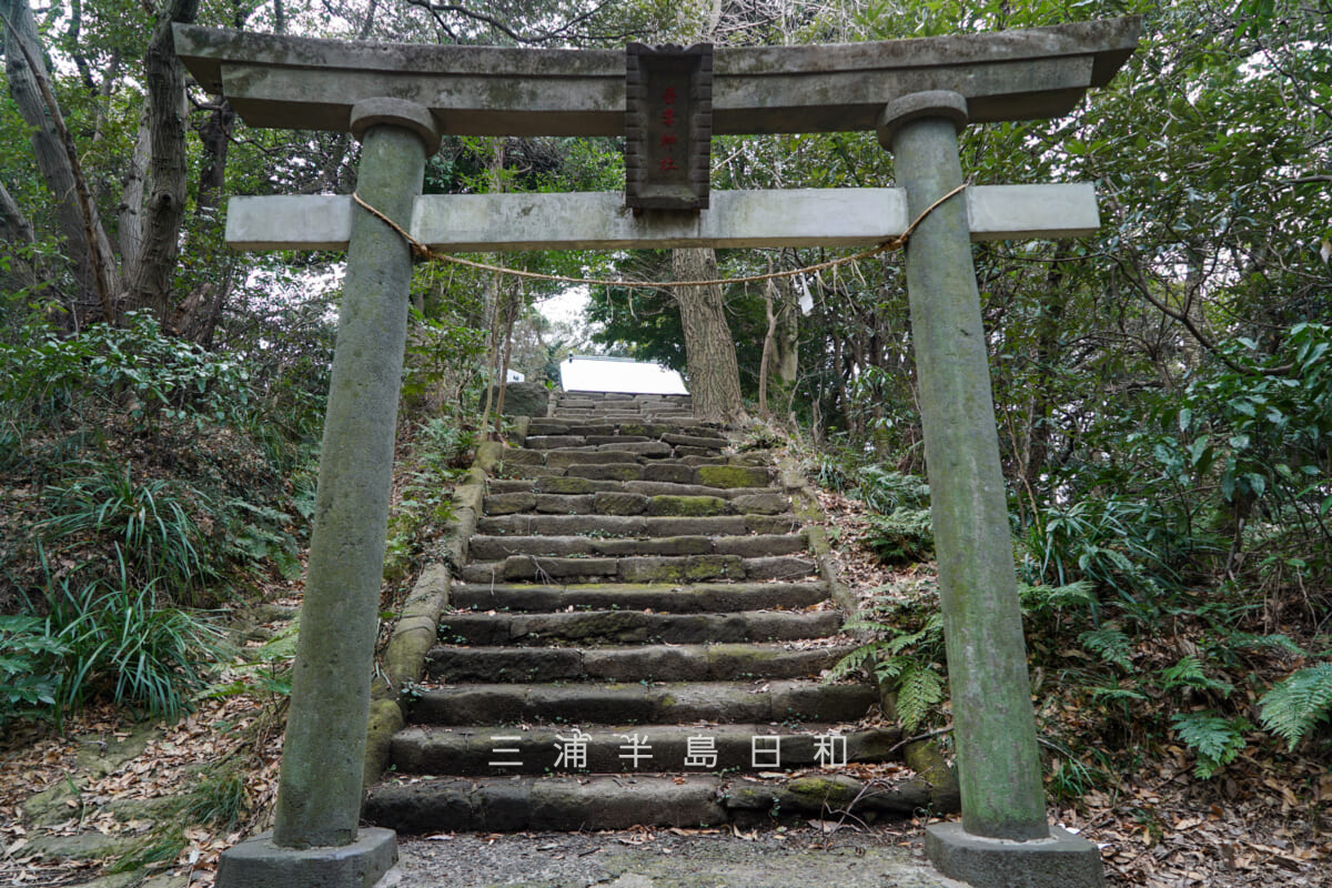 吾妻社（長浦町）・鳥居（撮影日：2025.03.11）