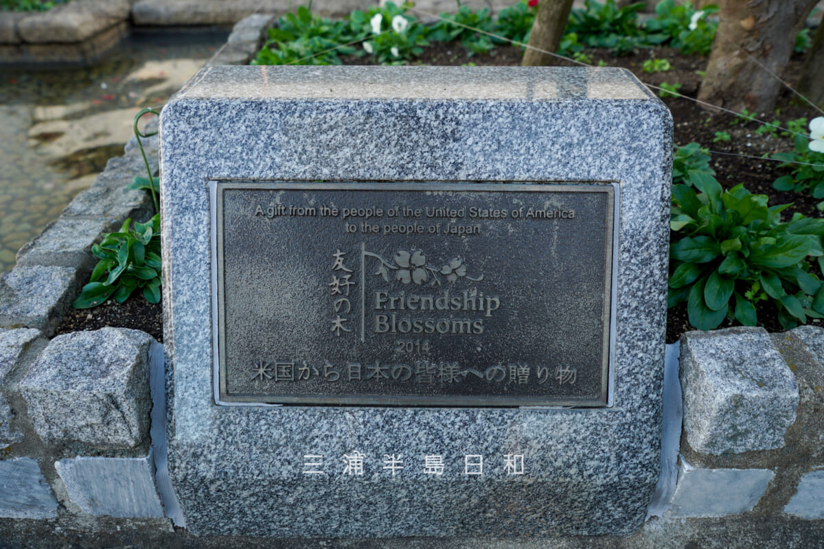 市役所前公園・「Friendship Blossoms（友好の木）」のモニュメント（撮影日：2025.12.18）