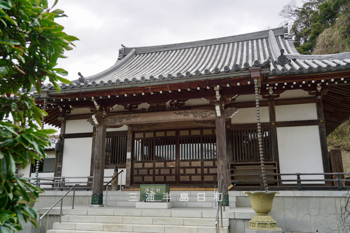 来迎寺(西御門)・本堂(撮影日:2024.02.02)