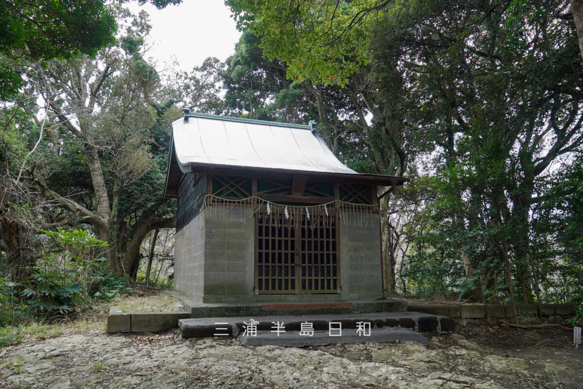 吾妻社（長浦町）・社殿（撮影日：2025.03.11）