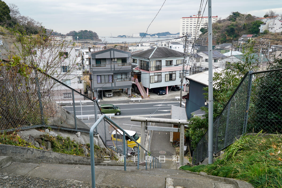 田ノ浦神明社(長浦神社)・石段上より横須賀港方面を望む(撮影日:2025.03.11)