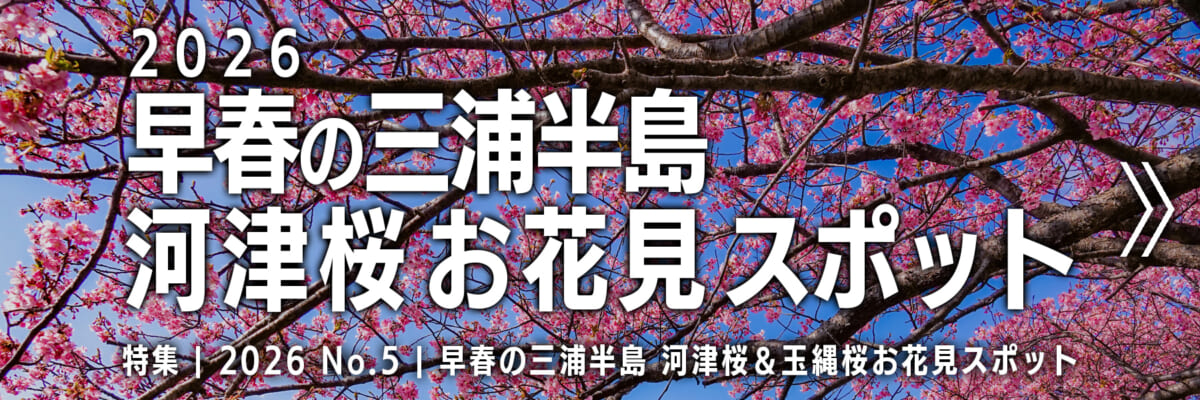 【2026 No.5】特集 | 三浦半島河津桜おすすめスポット