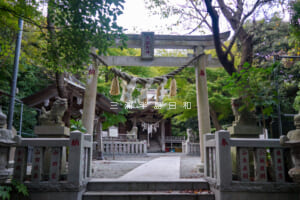 天照大神[長沢]