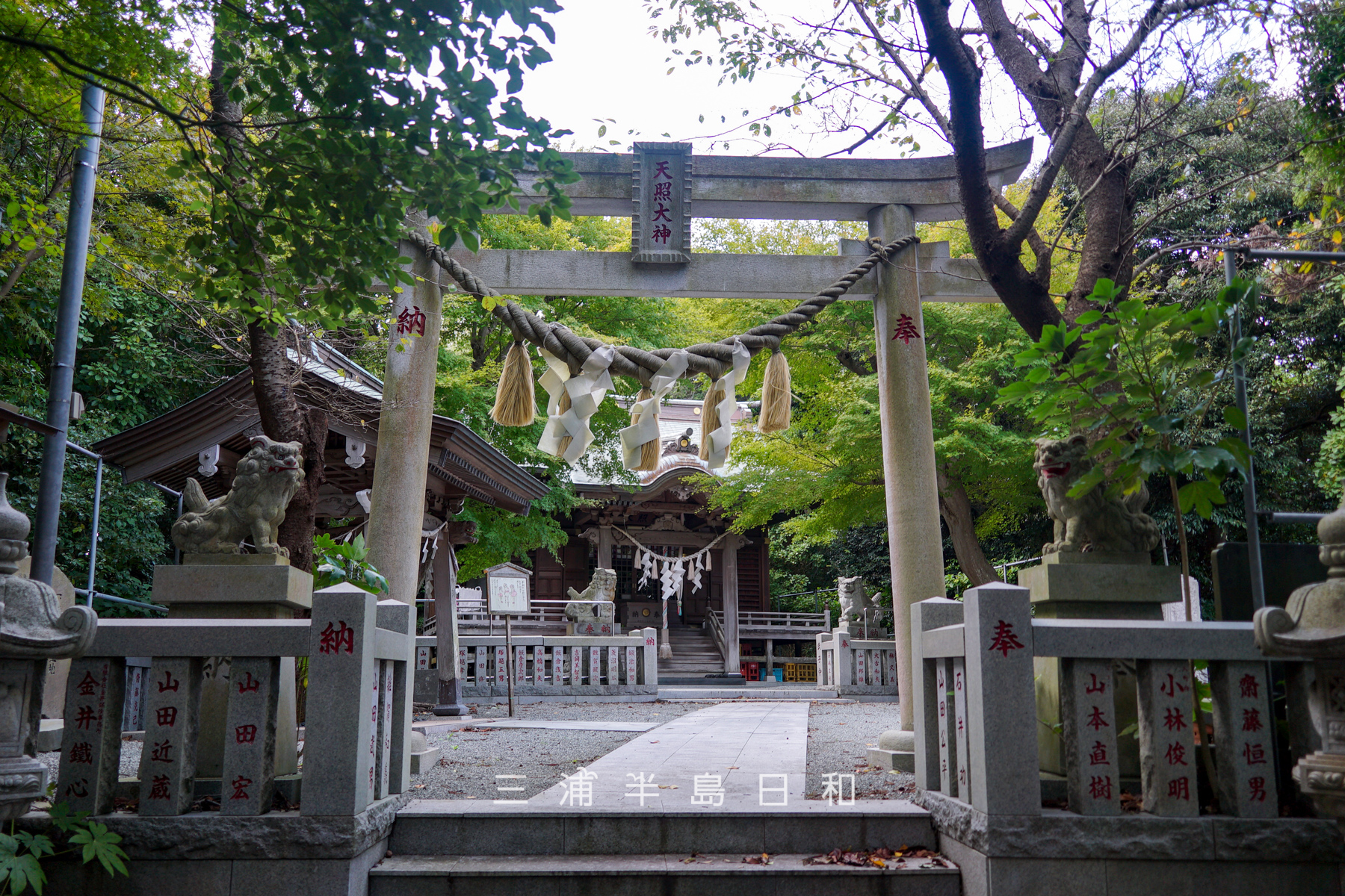 天照大神（長沢）（撮影日：2025.10.23）