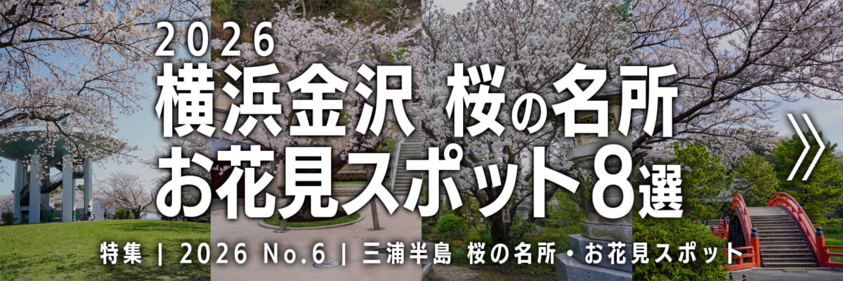 【2026 No.6】特集 | 横浜金沢桜の名所・お花見スポット