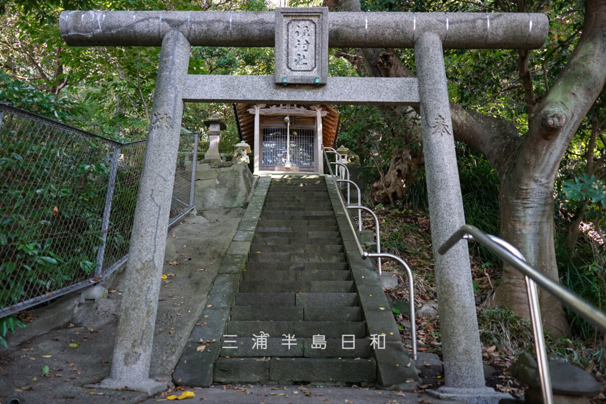 諏訪神社（堀内）・鳥居（撮影日：2024.11.22）